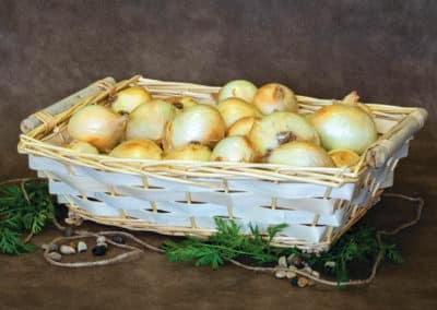 CREAPAK_CORBEILLE_OSIER_GARNIE