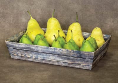 CREPAK_CORBEILLE_CARTON_FRUIT